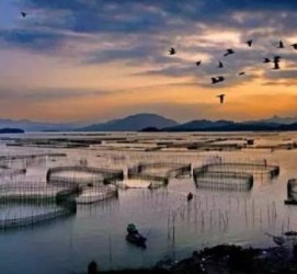 广西伴游中国网景点丰富(旅游网介绍)