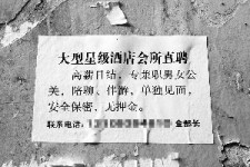 广西珠海伴游雇用网(珠海游览社雇用信息)