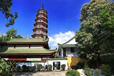 广西广州自由行(广州 自由行)