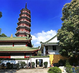 广西广州自由行(广州 自由行)