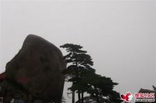 广西上海伴游私家陪游雇用女模(上海伴游私家陪游雇用女模特)