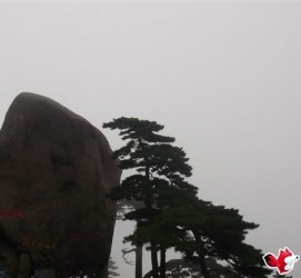 广西上海伴游私家陪游雇用女模(上海伴游私家陪游雇用女模特)