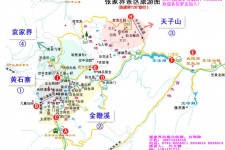 广西旅游路线规划(旅游路线规划软件)