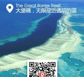 广西中国250家旅行社结伴游新西兰(新西兰当地旅行社)