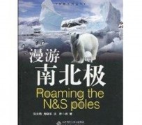 广西游记攻略(ps西游记攻略)