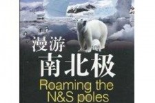 广西游记攻略(ps西游记攻略)