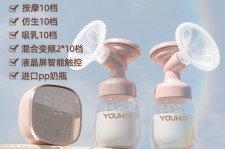 广西奶模(奶模型)