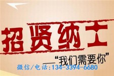 广西酒店雇用伴游(酒店雇用伴游办事员)