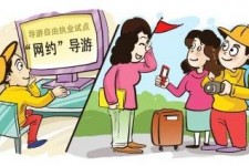 广西伴游是什么
