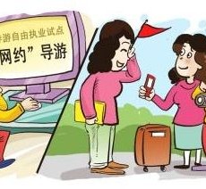 广西伴游是什么