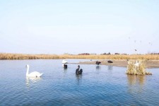 广西南昌附近伴游小妹兼职(1534939978姐的微信德惠市)