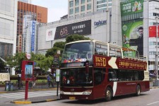 广西上海私人伴游 上海过年怎么玩？这些“微游”线路了解下→