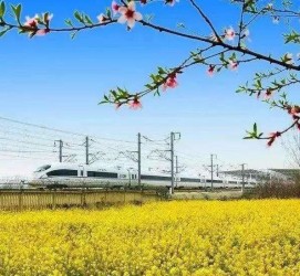 广西高铁游(高铁游戏下载手机版)