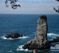 广西旅游全攻略(上海旅游全攻略)