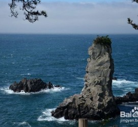 广西旅游全攻略(上海旅游全攻略)