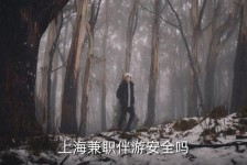 广西上海私人伴游 上海伴游，上海兼职伴游安全吗