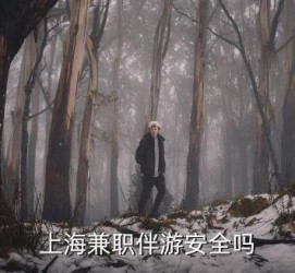 广西上海私人伴游 上海伴游，上海兼职伴游安全吗