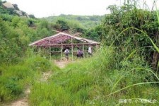 广西北海伴游兼职雇用信息(北海伴游兼职雇用信息大全)