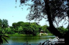 广西西湖旅游攻略(上海到杭州西湖旅游攻略)
