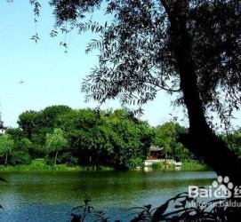 广西西湖旅游攻略(上海到杭州西湖旅游攻略)