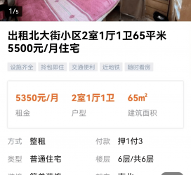 广西私人伴游是什么 “过年租友”陷阱：骗财与色情服务