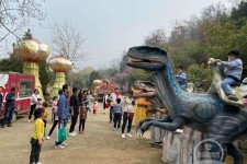 广西中国伴游带你打卡网红南山竹海(南山竹海网上预约)
