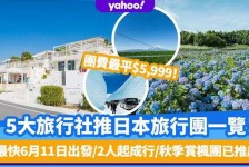 广西旅游价格(旅游价格机制)
