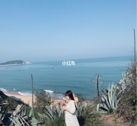 广西厦门周边游(厦门及周边旅游攻略)