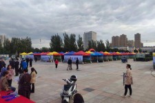 广西通辽伴游雇用(哈尔滨伴游雇用)