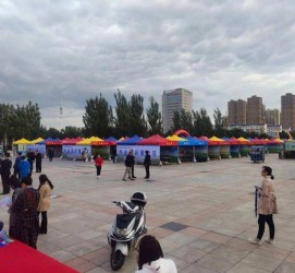 广西通辽伴游雇用(哈尔滨伴游雇用)