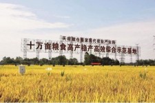 广西关于成都商务伴游外围雇用的信息