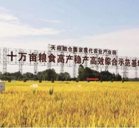 广西关于成都商务伴游外围雇用的信息