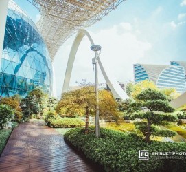 广西杭州外围伴游雇用(杭州外围雇用经纪人)