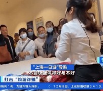 广西上海私人伴游 看·法｜100元游上海？！“旅社”涉嫌诈骗被一窝端
