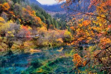 广西四川旅游攻略(四川旅游攻略十五日游)