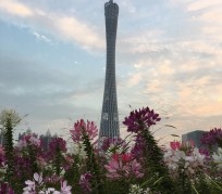 广西广州旅游攻略(杭州到广州旅游攻略)