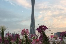 广西广州旅游攻略(杭州到广州旅游攻略)