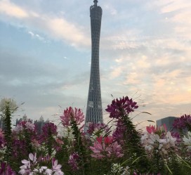 广西广州旅游攻略(杭州到广州旅游攻略)