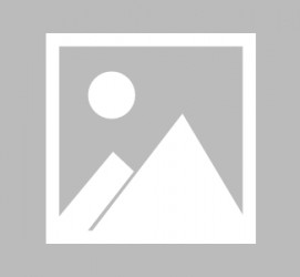 广西最新导游伴游雇用信息(最新导游伴游雇用信息大全)
