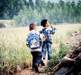 广西河南一家四口结伴游中国2个月(河南适合一家四口旅游的地方)