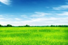 广西上海伴游 上海模特伴游微信号的交友宣言