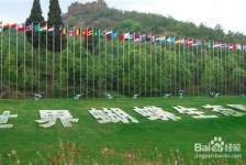 广西昆明旅游攻略(昆明旅游攻略景点大全抚仙湖)
