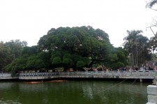 广西福州旅游攻略(福州旅游攻略二日游)