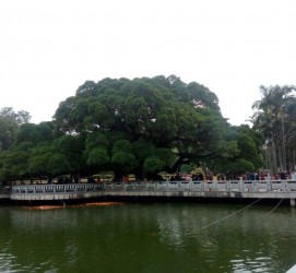 广西福州旅游攻略(福州旅游攻略二日游)