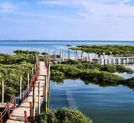 广西旅游哪里好玩(云南旅游哪里好玩)