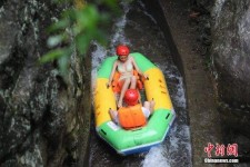 广西伴游中国三亚(三亚结伴旅游网)