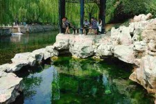 广西济南旅游攻略(青岛威海济南旅游攻略)