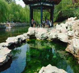 广西济南旅游攻略(青岛威海济南旅游攻略)