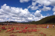 广西旅游去处(暑期最好的旅游去处)