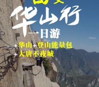广西一日游(一日游需要准备些什么东西?)